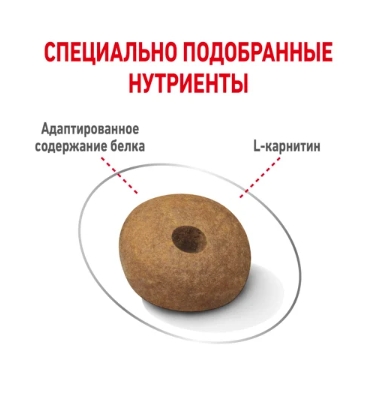 Еда для собак Сухой корм для собак Royal Canin Medium Light Weight Care