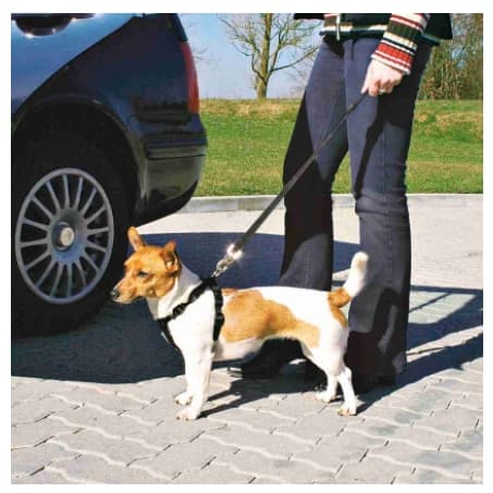 Автомобильный ремень безопасности для собак 30-60 см TRIXIE (1290)