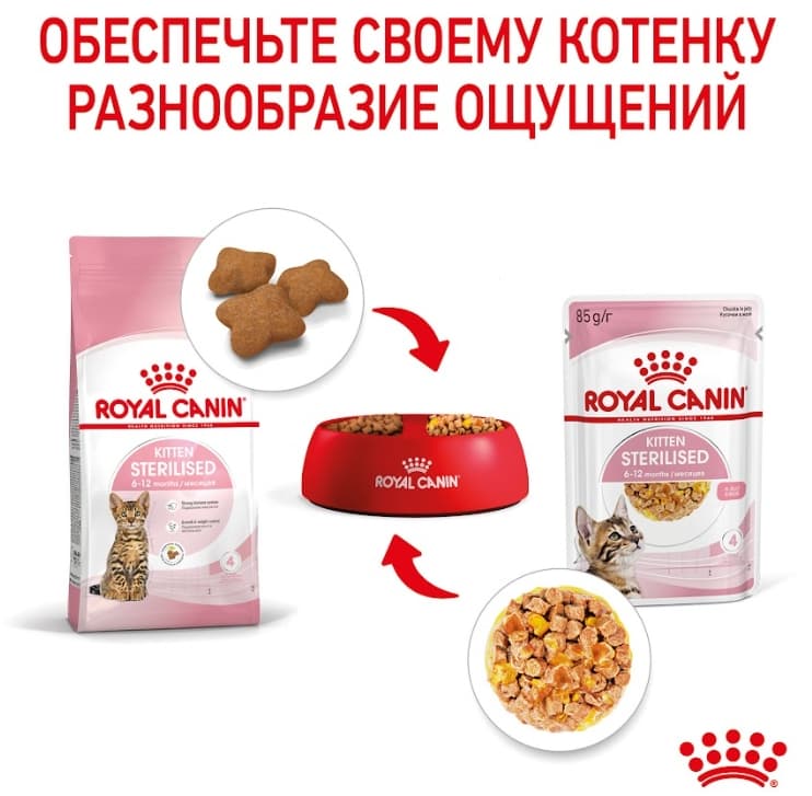 Влажная еда для котят Royal Canin Kitten Sterilized (в желе)