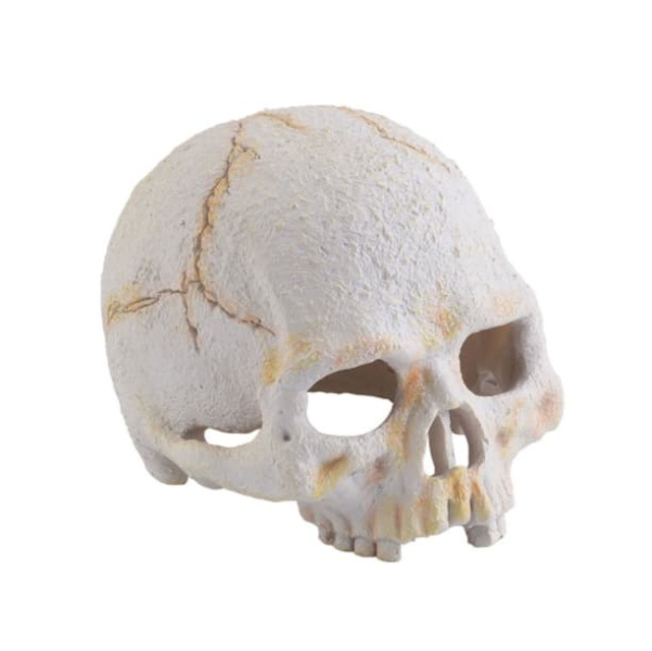 Убежище-декор Череп примата 9х11.5х8 см. PT2926 (H229265)