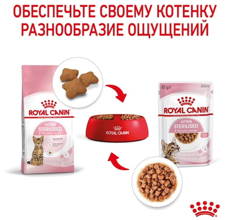 Паучи для котят Royal Canin Kitten Sterilized в соусе 