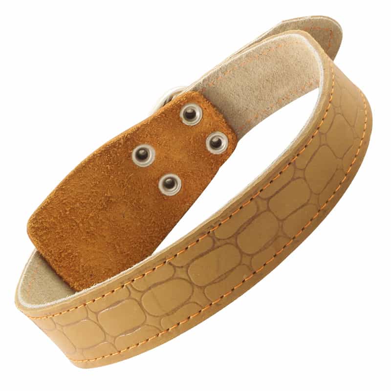 Ошейник кожаный двойной 36 мм*720 мм (11232053)