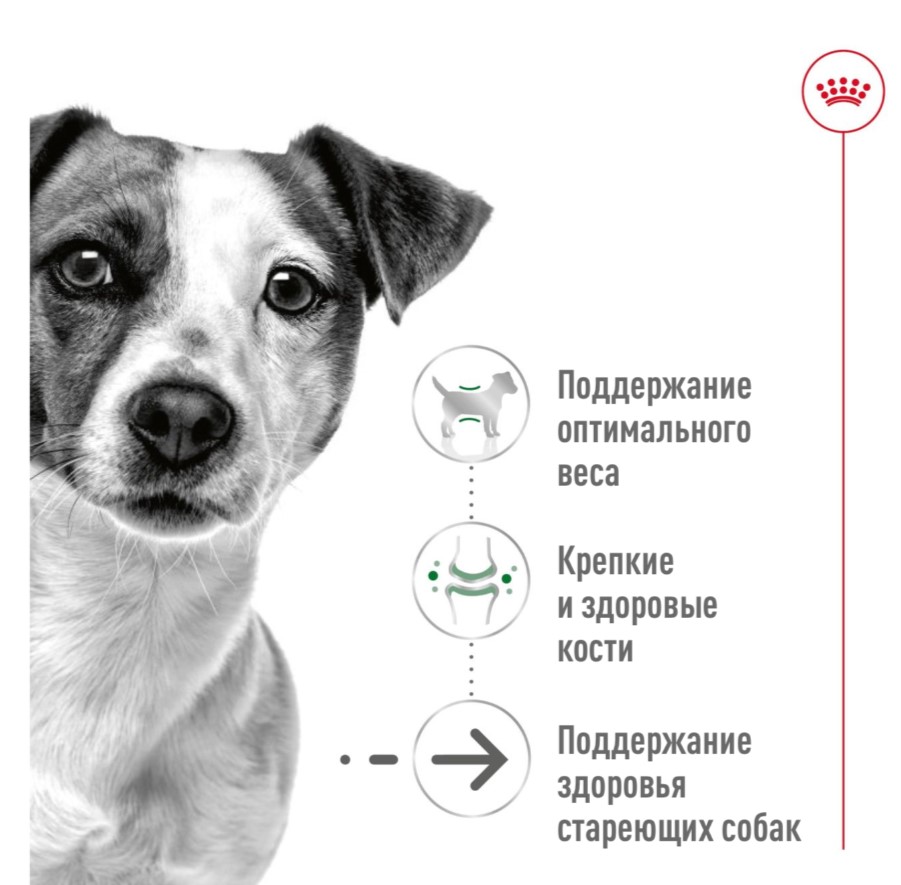 Паштет для собак Royal Canin Mini Ageing