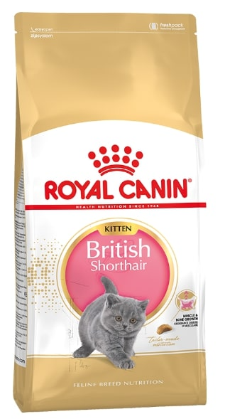 Royal Canin British Shorthair Kitten сбалансированный корм для котят породы британская короткошерстная