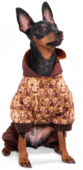 Демисезонный Дождевик-комбинезон для собак Triol "Marvel Малыш Грут"