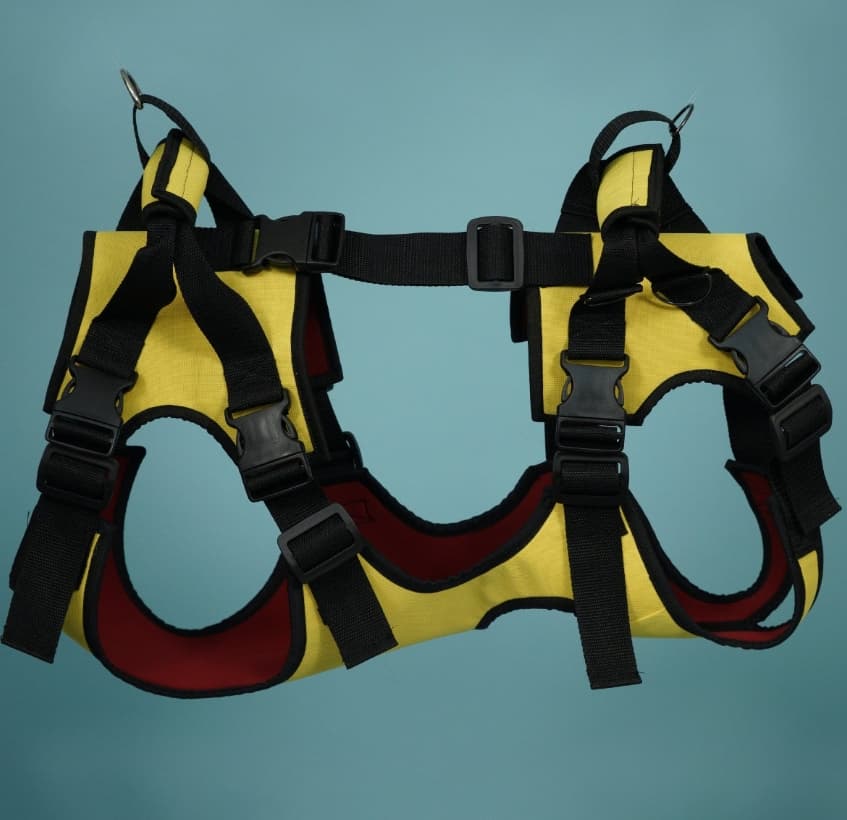 Веда Полная поддержка для собак