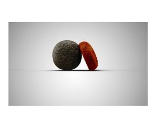 Каталог Сухой корм для собак Josera Fiesta Plus Adult для собак