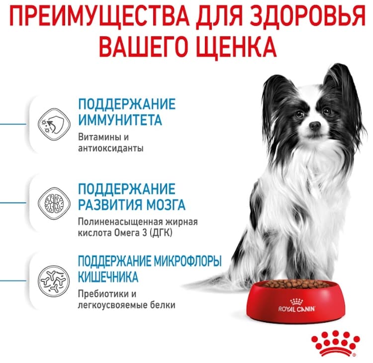 Еда для щенков Сухой корм для щенков Royal Canin X-Small Puppy