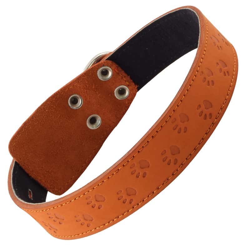 Ошейник кожаный двойной 36 мм*720 мм (11232053)