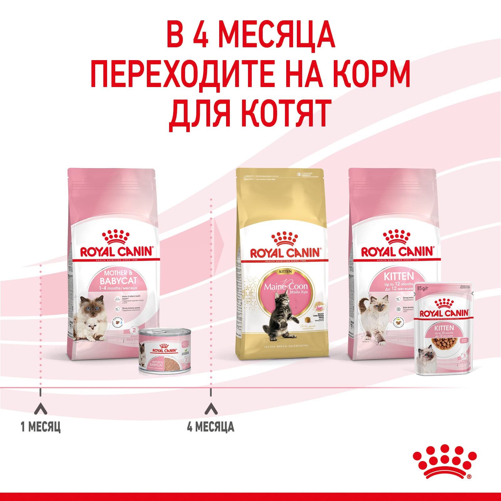 Консервированный корм для котят и кормящих кошек Royal Canin Babycat Instinctive