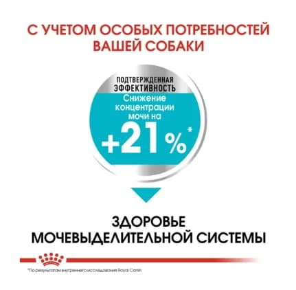 Питание для собак Сухой корм для собак Royal Canin Mini Urinary
