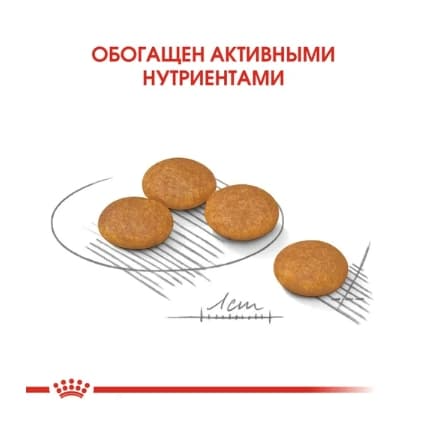 Питание для собак Сухой корм для собак Royal Canin Mini Dermacomfort