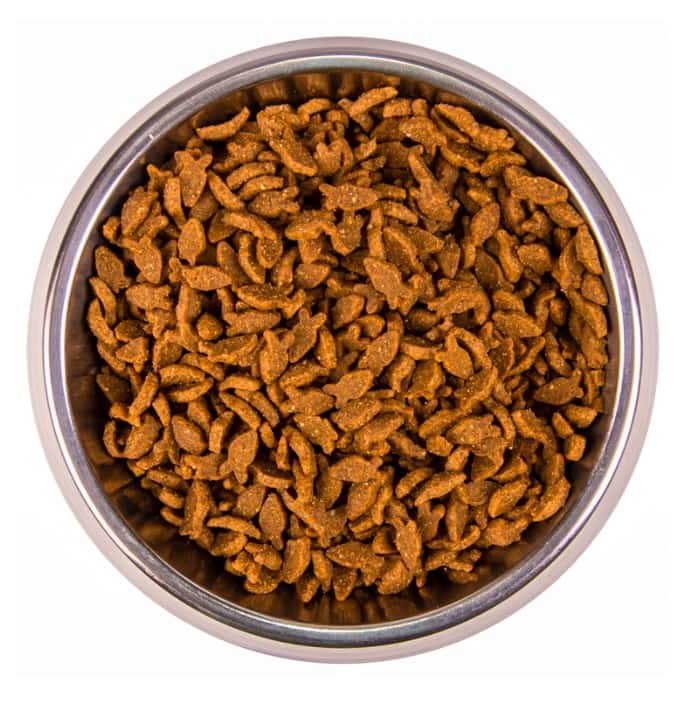 Сухой корм для кошек Monge Cat Monoprotein Adult (лосось)