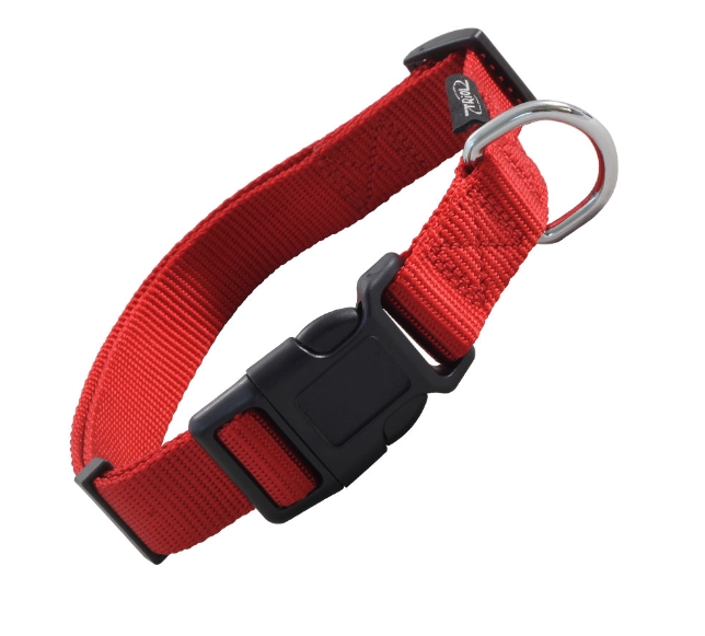 Ошейник нейлоновый для собак "Стандарт" (красный)