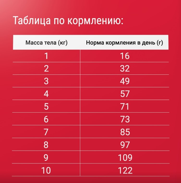 Сухой корм для кошек Darsi Мясное ассорти сбалансированный корм для взрослых котов 