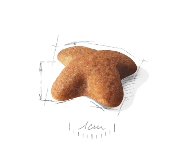 Еда для собак Сухой корм для собак Royal Canin Beagle