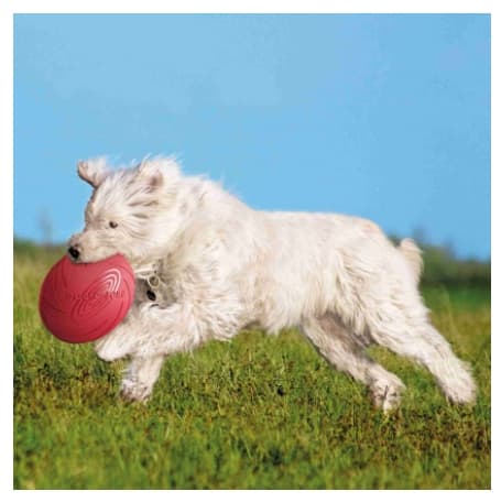 Игрушка для собак TRIXIE "Диск для игр на воде" 15 см (33500)