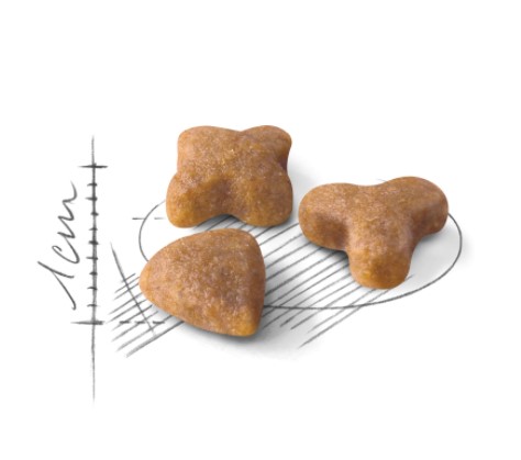 Royal Canin Sensible 33 сбалансированный корм для взрослых кошек (в возрасте старше 1 года) с чувствительной пищеварительной системой