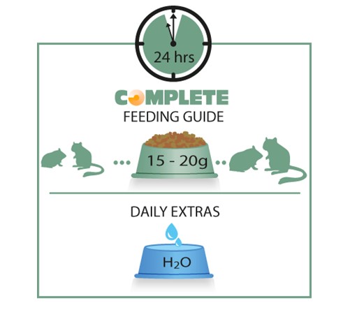 Корм для хомяков и песчанок Versele-Laga Complete Hamster & Gerbil