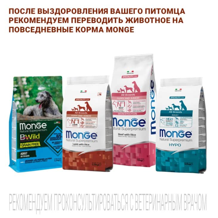 Диетическое питание для собак Monge VetSolution Renal Dog