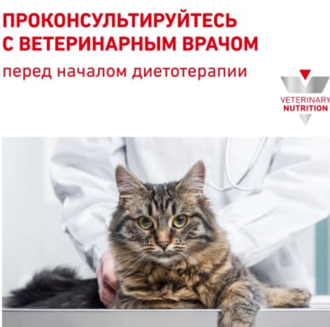 Сухой корм для кошек Royal Canin Diabetic Cat полнорационный сухой корм для кошек при сахарном диабете