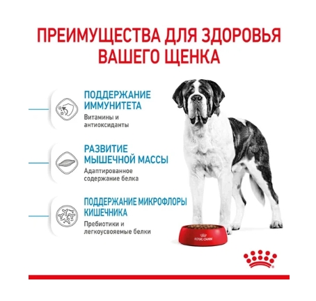 Питание для щенков Сухой корм для щенков Royal Canin Giant Junior