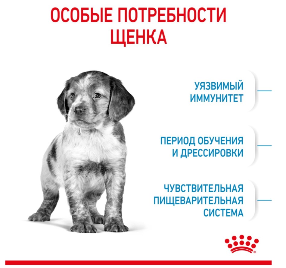 Питание для щенков Сухой корм для щенков Royal Canin Medium Puppy