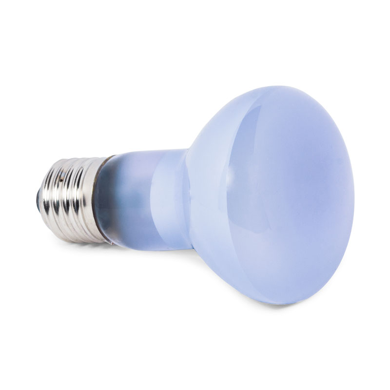 Лампа дневная неодимовая для рептилий Friendly