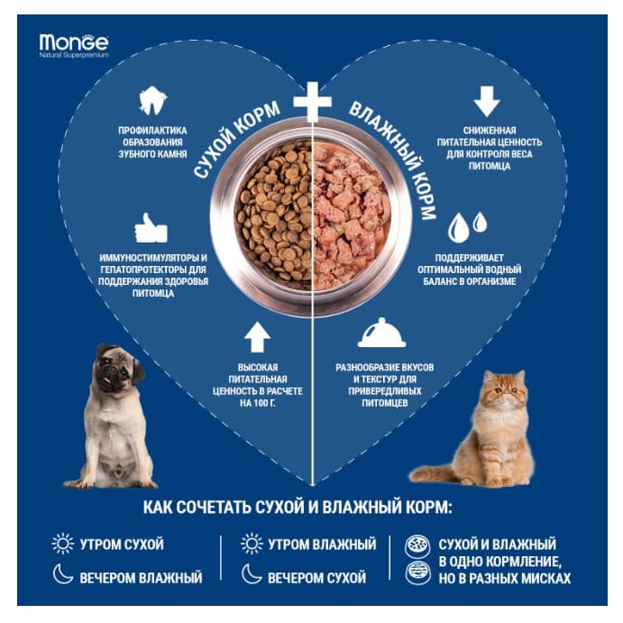 Каталог Сухой корм для собак Monge Dog Monoprotein Adult Mini (лосось, рис) для собак