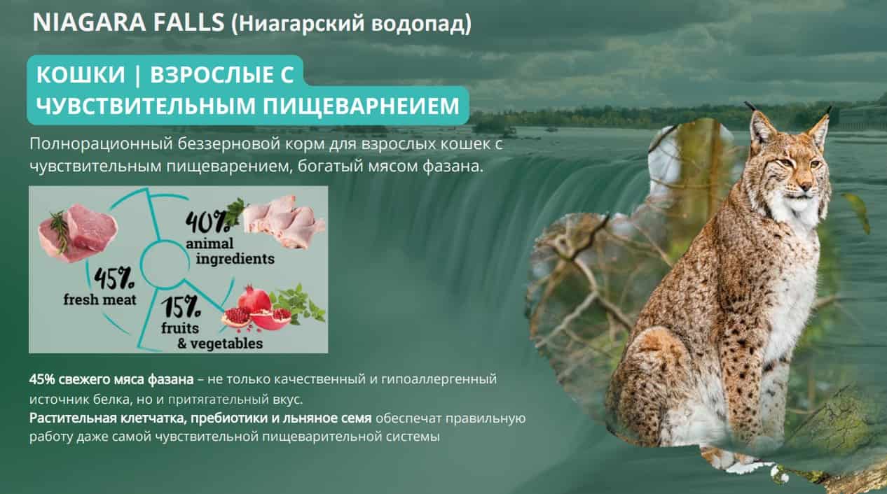 Питание для кота Сухой корм для кошек Natura Wild Sensitive CAT Niagara Falls (фазан)