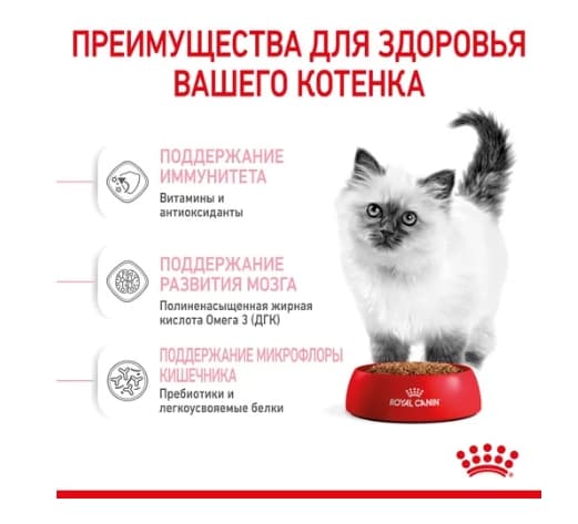 Royal Canin Kitten полнорационный сухой корм для котят и кошек 