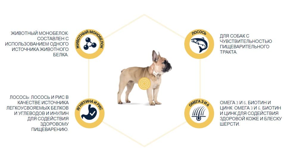 Еда для собак мини пород Сухой корм для собак Advance Dog Mini Sensitive (лосось)