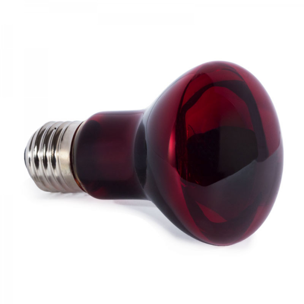 Лампа инфракрасная для рептилий Friendly