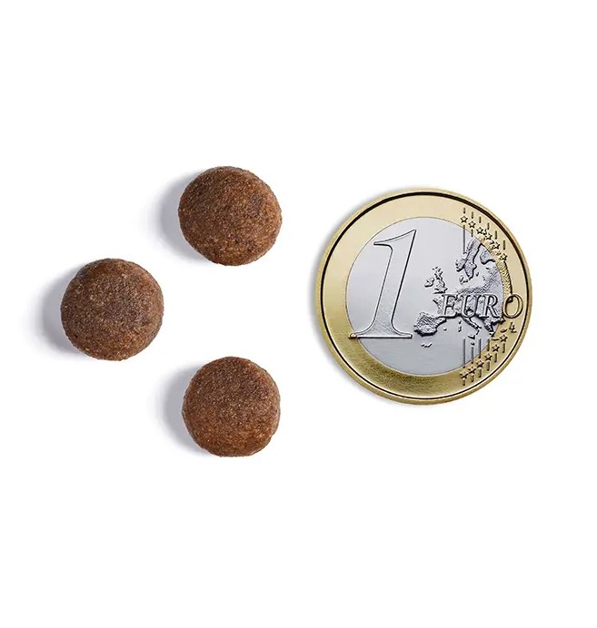 Еда для щенков крупных пород AMBROSIA GRAIN FREE (курица, лосось)