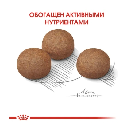 Еда для собак Сухой корм для собак Royal Canin Maxi Digestive Care