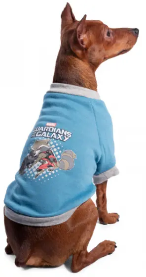 Толстовка Triol-Disney "Marvel Ракета"