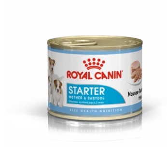 Royal Canin Starter Mousse корм для кормящих и беременных собак