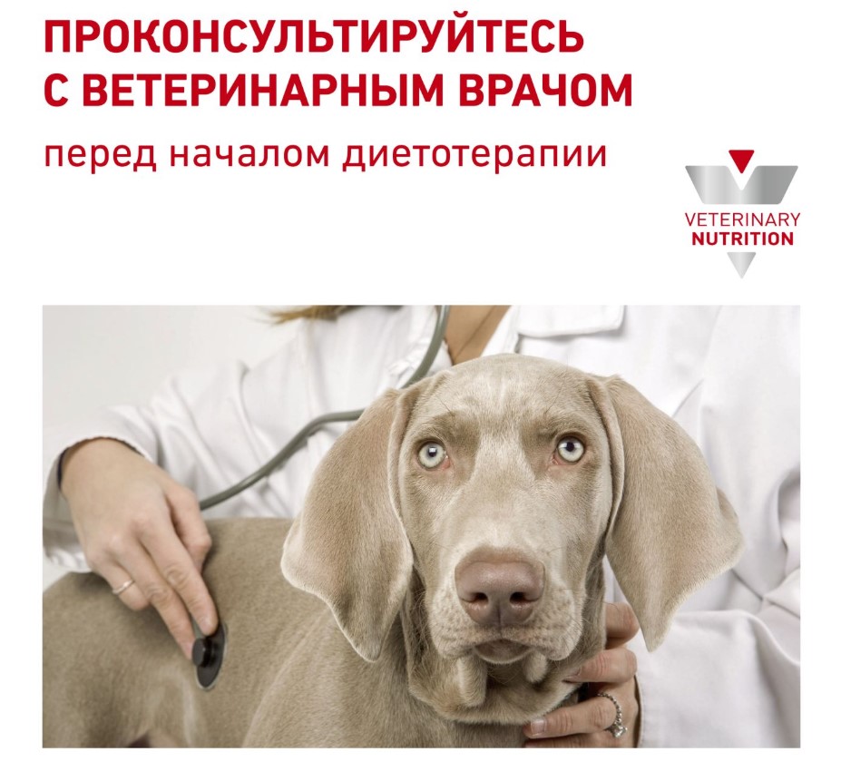 Каталог Сухой корм для собак Royal Canin Renal Select для собак