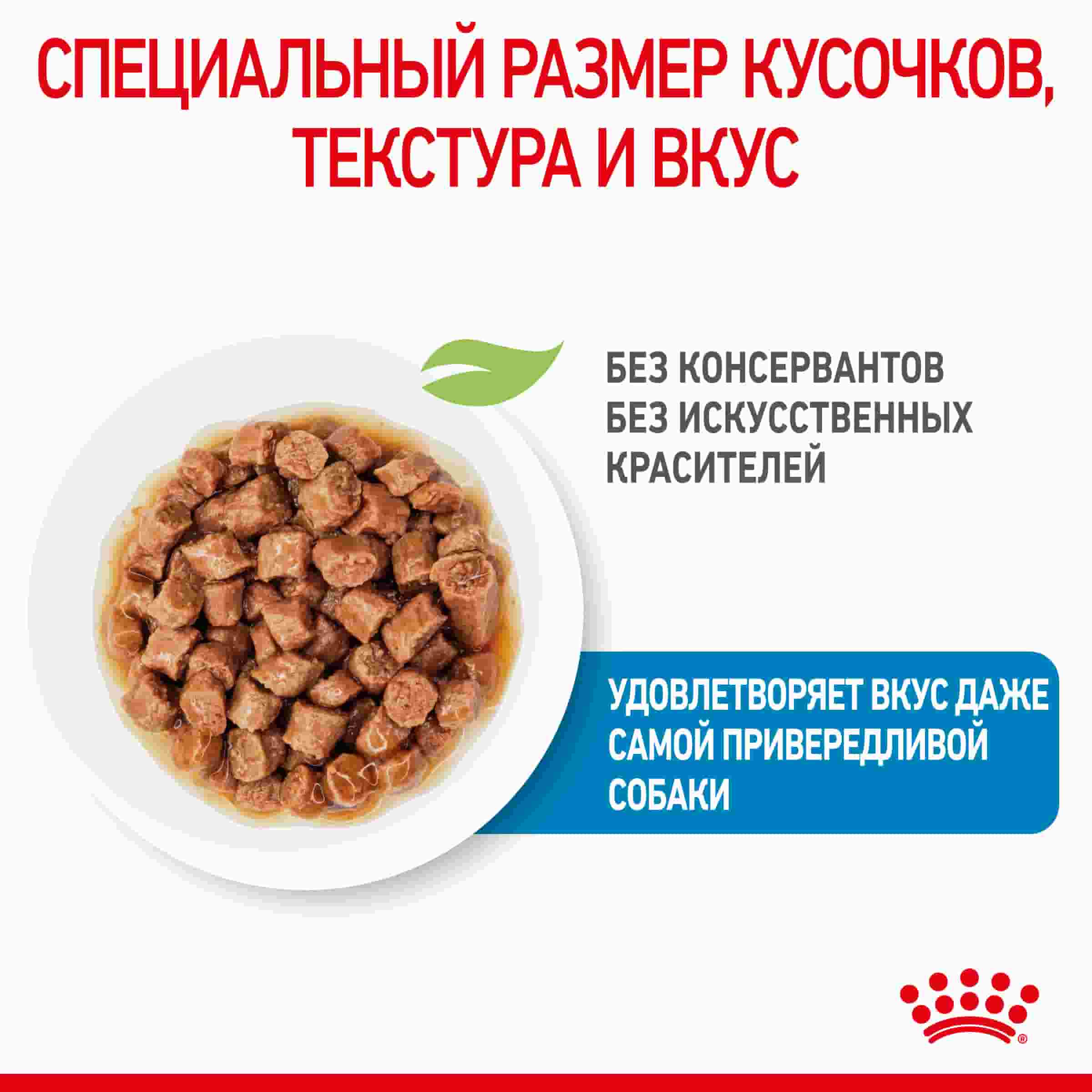 Влажный корм для щенков мелких пород Royal Canin X-Small Puppy (соус)