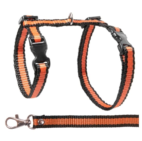 Комплект шлейка и поводок Gamma Мегаполис