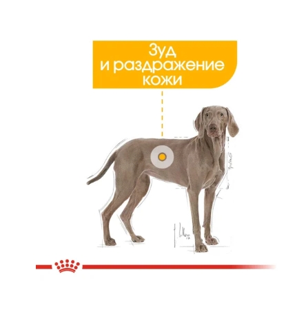 Еда для собак Сухой корм для собак Royal Canin Maxi Dermacomfort