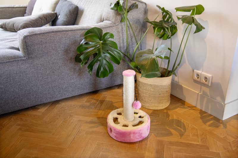 Когтеточка-столбик с тайником Beeztees   для кошек плюс игрушка