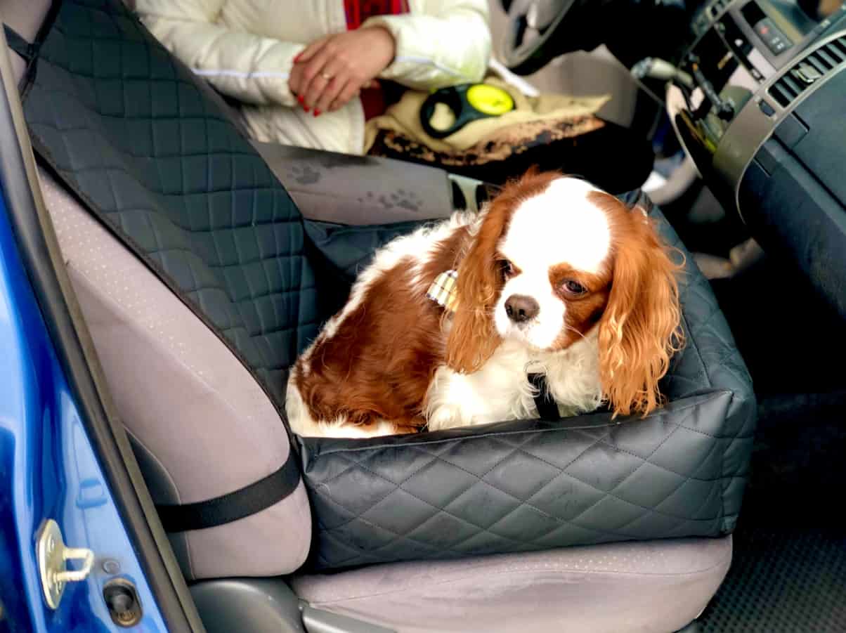 Автокресло для собак ELCRUCCE (черный)