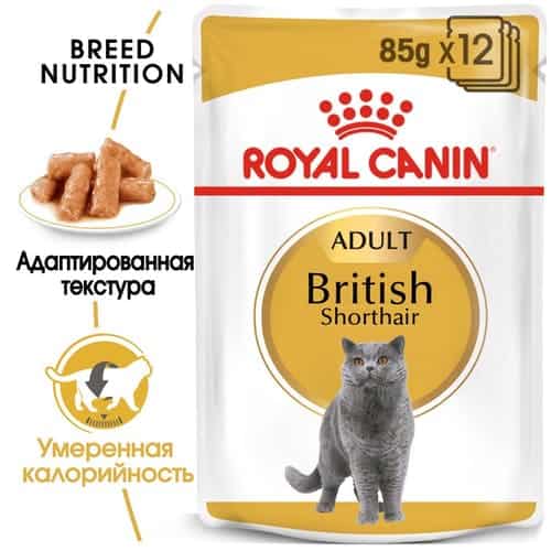 Влажное питание для кошек британцев Royal Canin British Shorthair Adult в соусе 