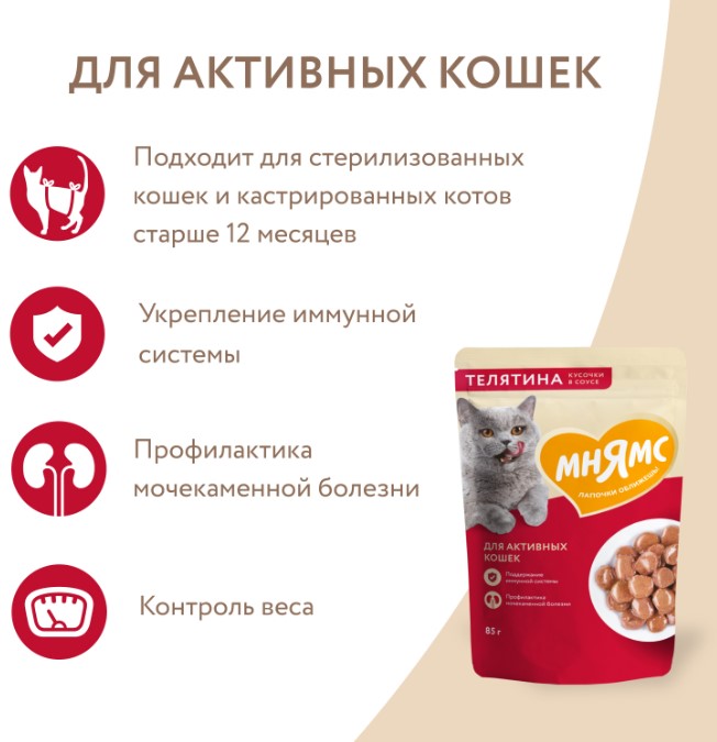 Влажный корм Мнямс Кусочки в соусе с телятиной для активных кошек