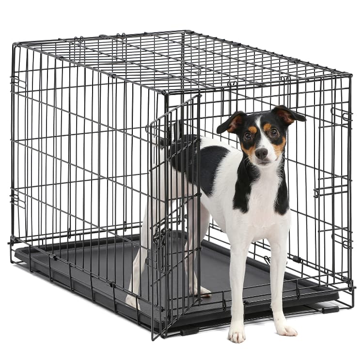 Клетка для собак MidWest iCrate (1 дверь)