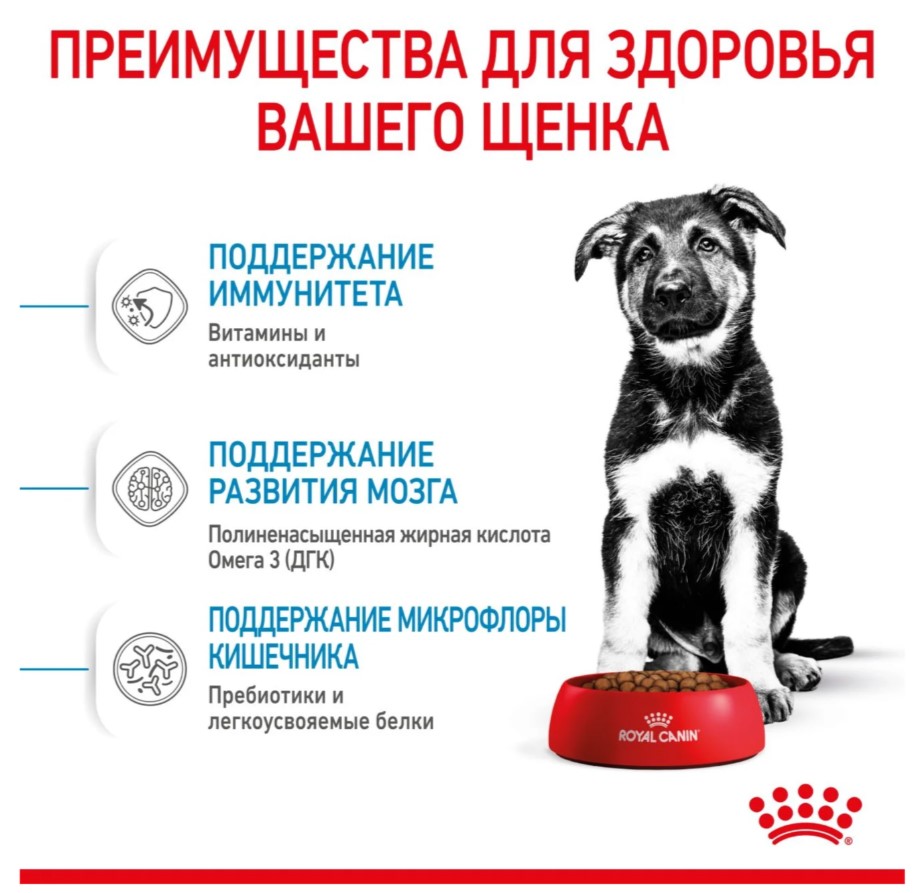 Еда для собак Сухой корм для щенков Royal Canin Maxi Puppy