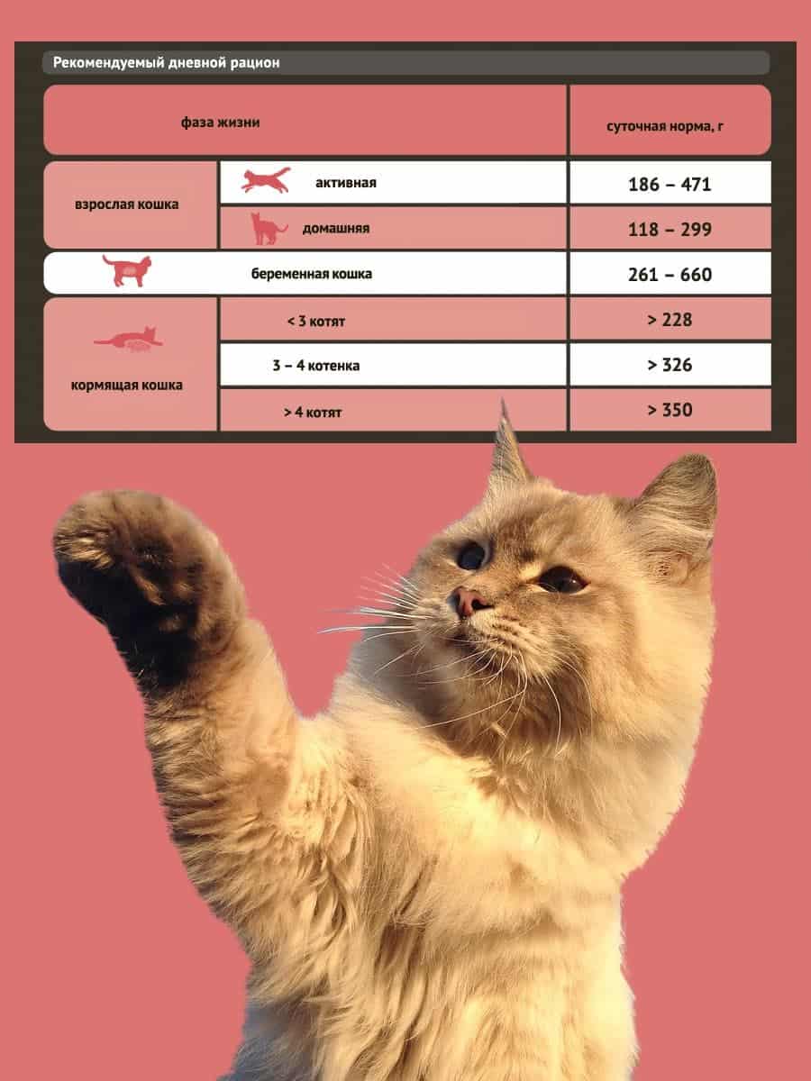 Влажное питание для активных кошек ProBalance Active Cat (курица)