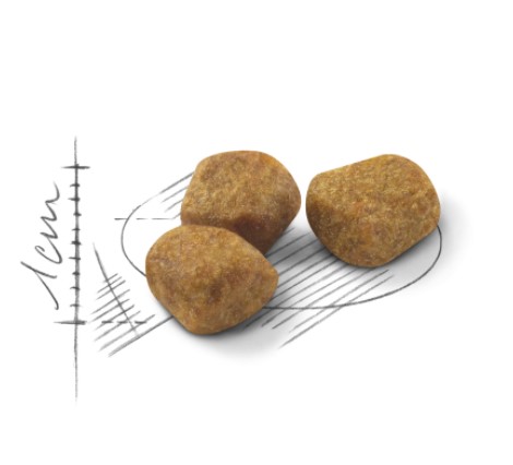 Сухой корм для кошек Royal Canin Indoor +7 полнорационный сухой корм для кошек живущих в помещении