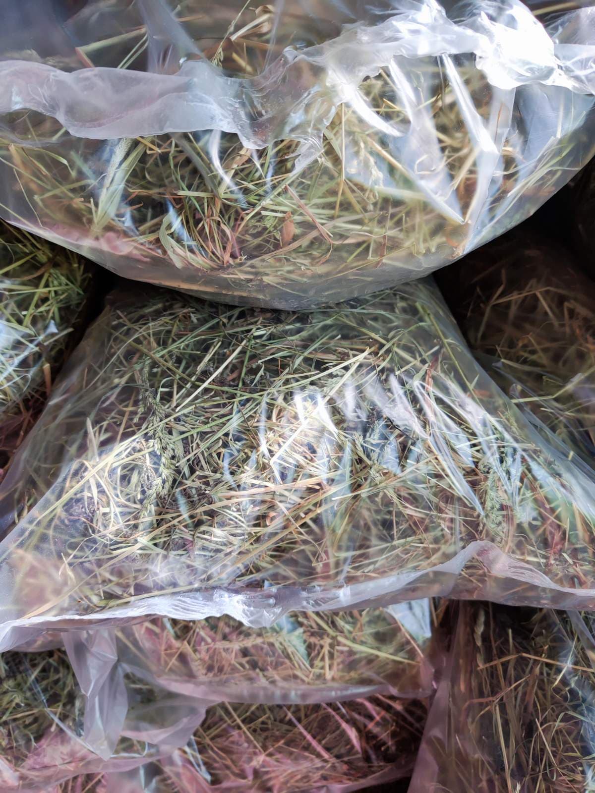 Сено луговое для грызунов "Грызуняшка" 500 гр